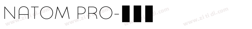 NATOM PRO字体转换 NATOM PRO字体转换